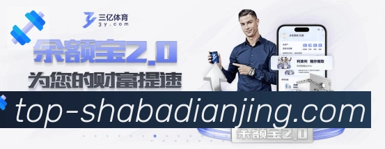 未来规划